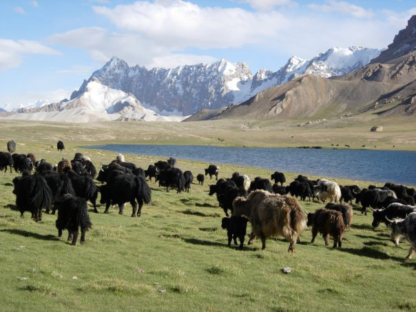 Shimshal Pamir Upper Hunza valley, Pakistan